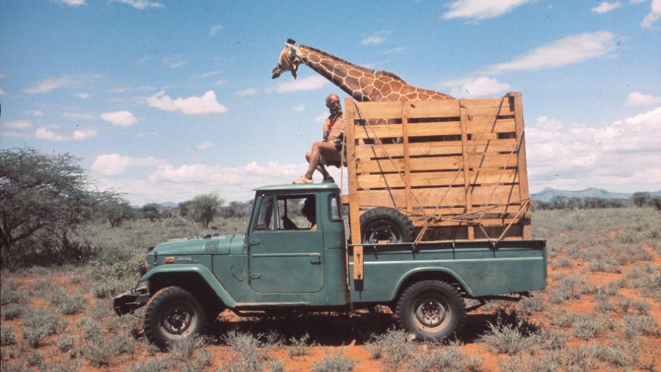 Josef Vágner na džípu se žirafou v bedně