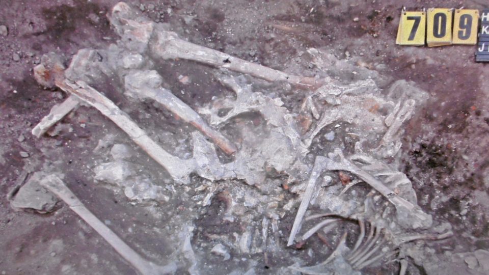 250 let od prvního známého archeologického nálezu v Hradci Králové