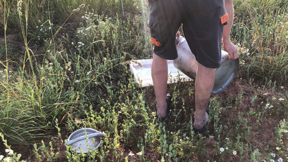 Myslivci na Vrchlabsku společně s dobrovolníky začali vozit lesní zvěři vodu