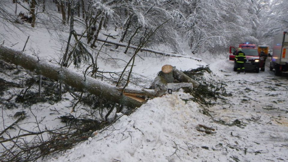 Těžký a mokrý sníh spolu s větrem na východě Čech láme stromy a větve