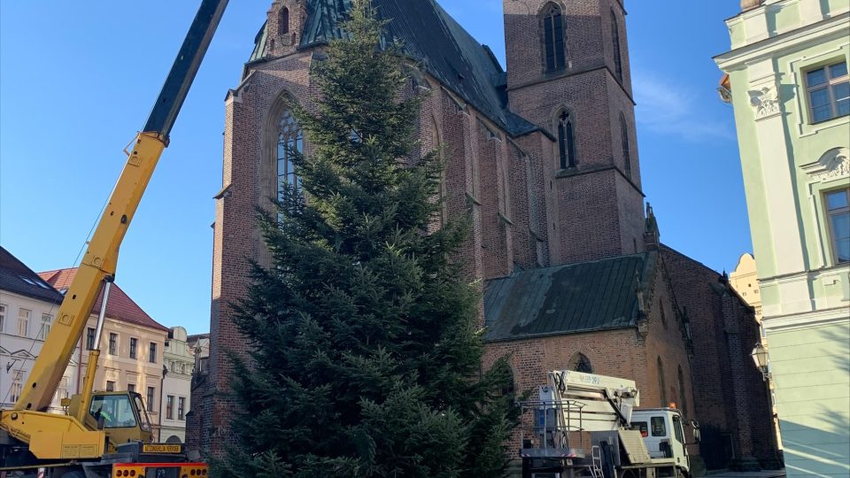Hradec Králové už zdobí dva velké vánoční stromy