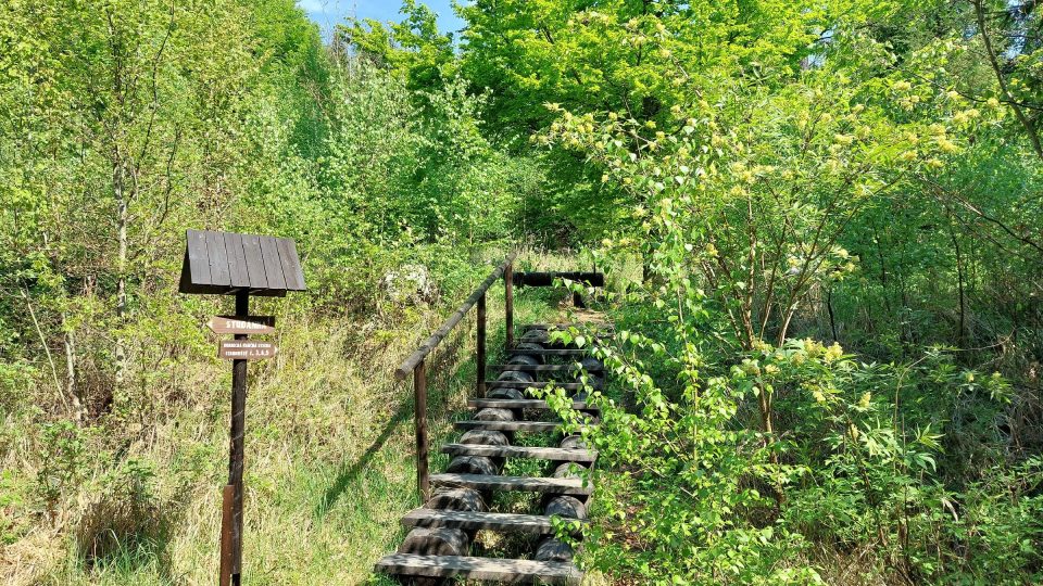 Na trase naučné stezky jsou nové prvky, například replika hejpánku a vstupu do šachty | foto: Irena Šarounová, Český rozhlas Na trase naučné stezky jsou nové prvky, například replika hejpánku a vstupu do šachty
