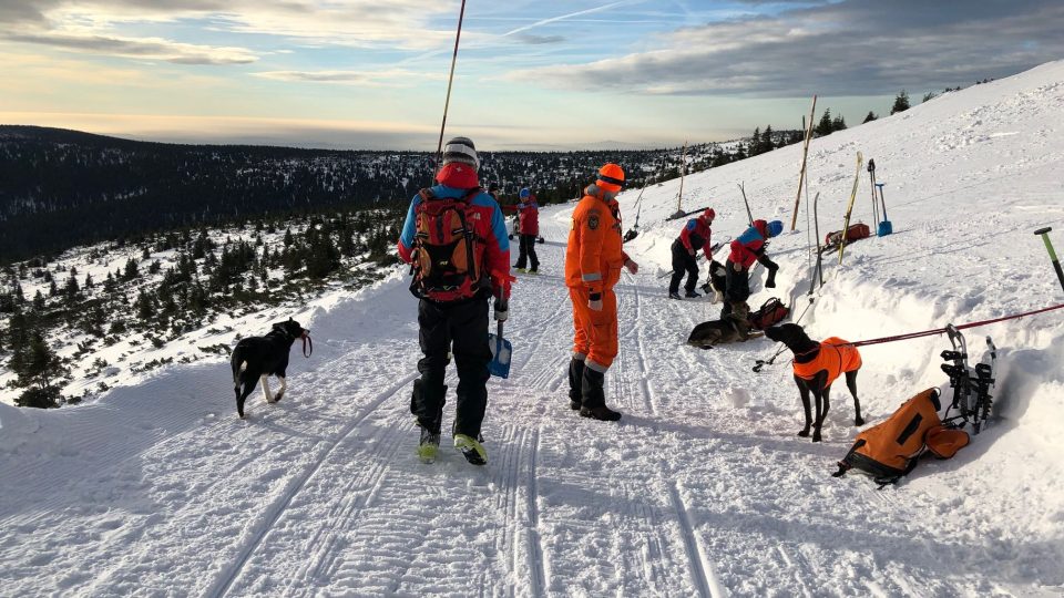Horští záchranáři z celé České republiky cvičí se svými psy v Krkonoších