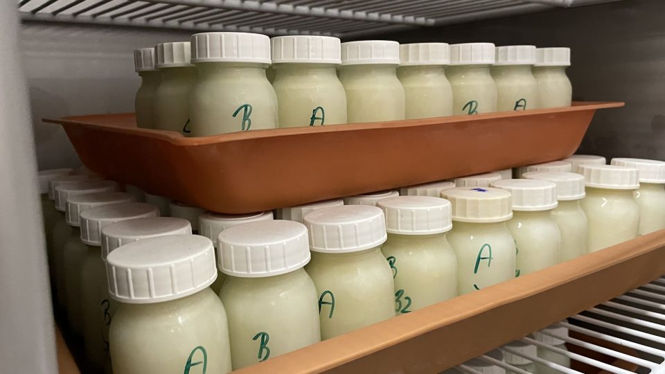 Díky nové metodě ošetření mateřského mléka by se mohl snížit počet kontaminovaných dávek