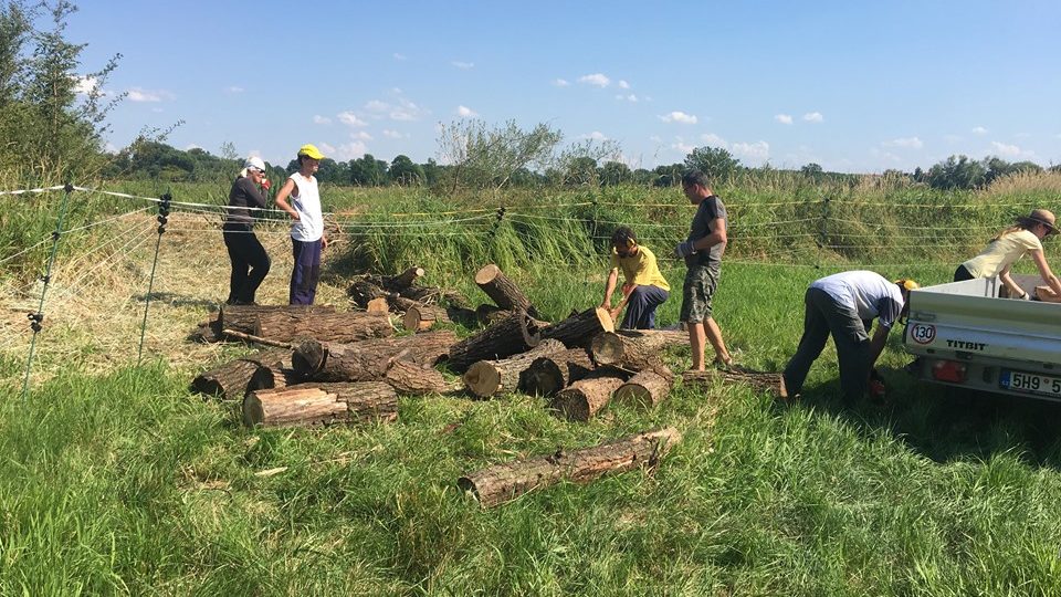 V ptačím parku Josefovské louky u Jaroměře se sešli dobrovolníci z celé republiky při údržbě tamního unikátního ekosystému