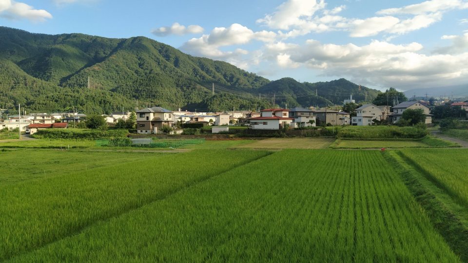 Japonsko, pro Čechy exotická země - rýžová pole