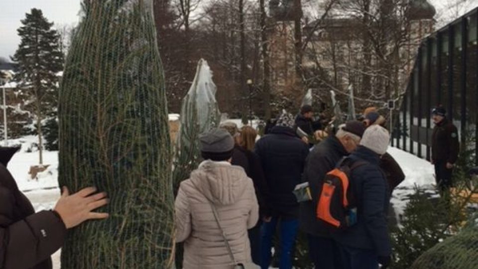 Krkonošský národní park i letos nabídl lidem vánoční stromky s certifikátem