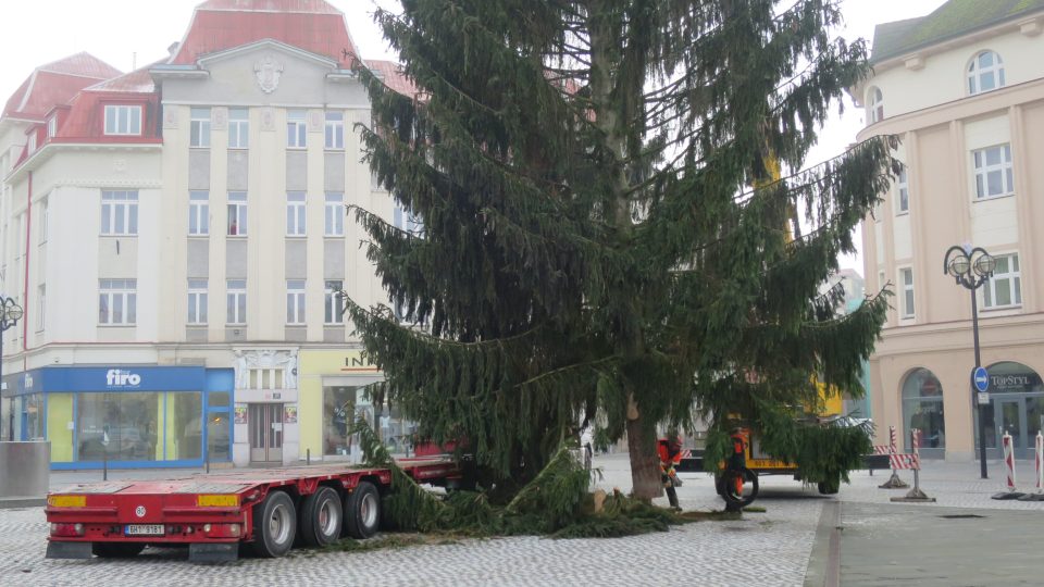 Přeprava a instalace vánočního stromu v Hradci Králové