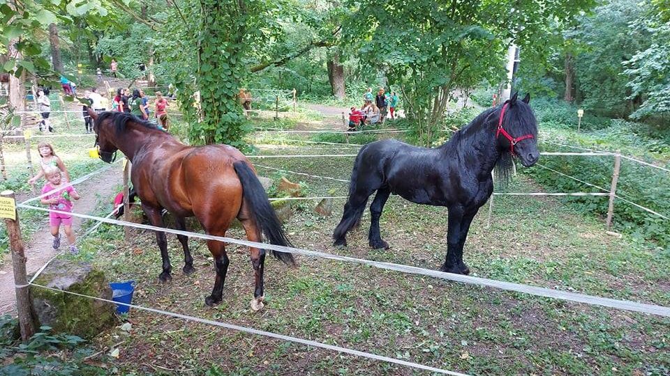 Do přírodní rezervace Dubno u České Skalice na Náchodsku se sjeli milovníci koní