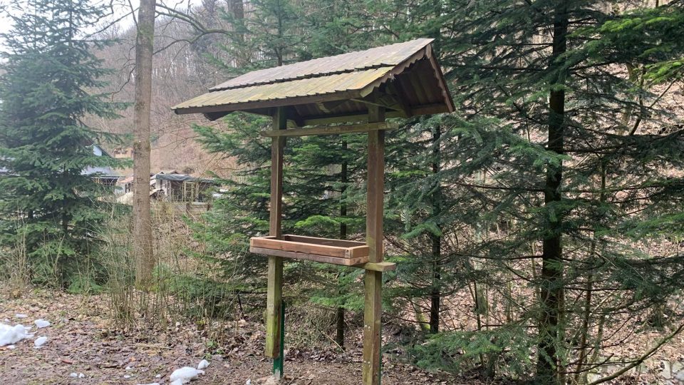 V Klopotovském údolí u Nového Města nad Metují na Náchodsku jsou nová krmítka pro ptáky