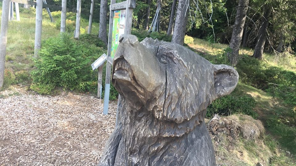 Na Medvědíně ve Špindlerově Mlýně se můžete procházet Medvědí stezkou