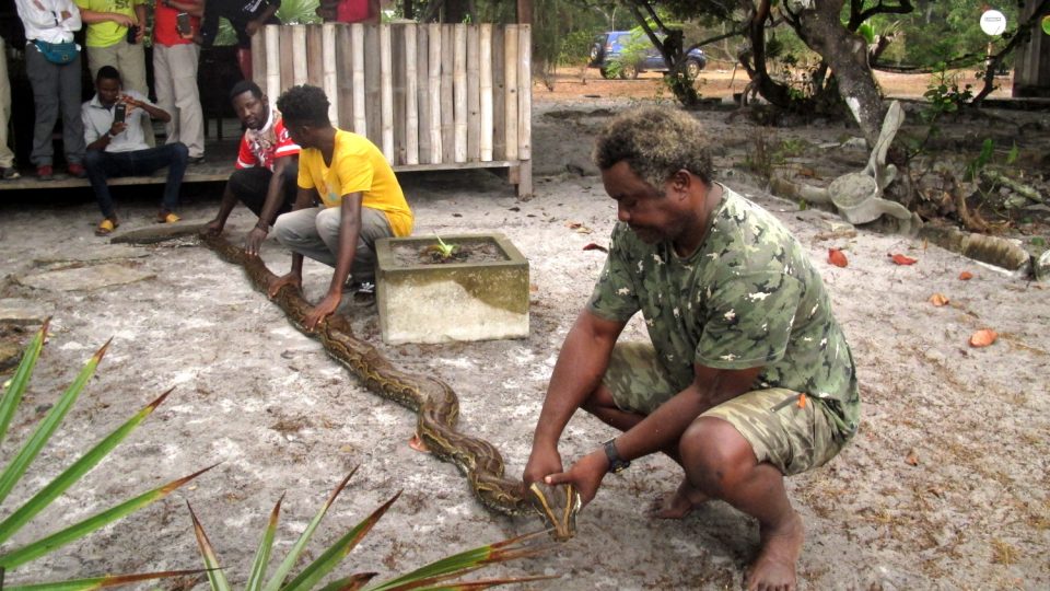 Do nejčernější Afriky nejen za gorilami. To je Gabon