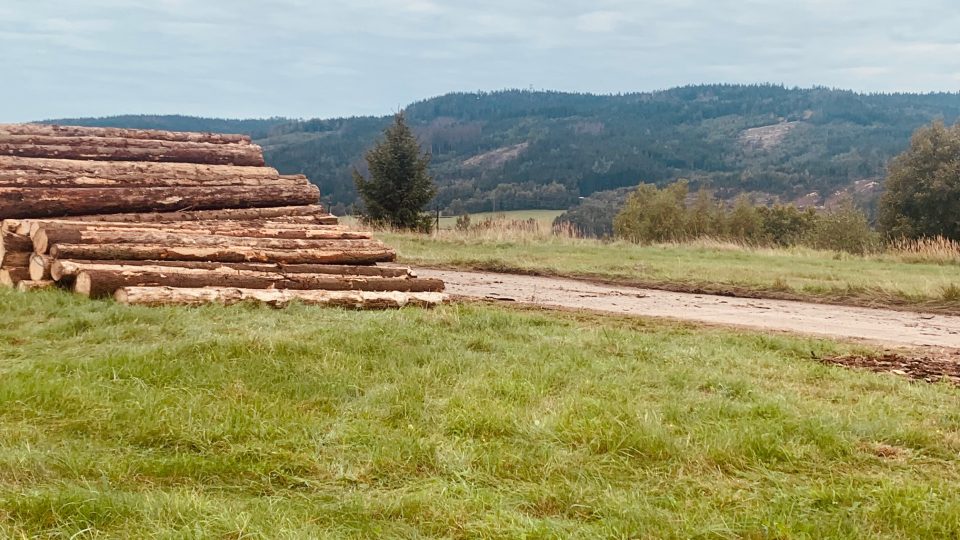 Velká část lesů v CHKO Broumovsko je ohrožena kůrovcem. Nejhorší je situace v Jestřebích horách