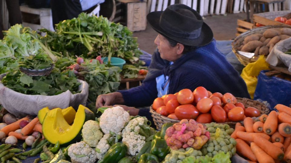 Vše čerstvé - na trhu v Bolívii