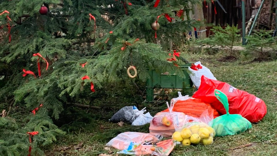 Farma Dubno u České Skalice uspořádala vánoční nadílku pro zvířata