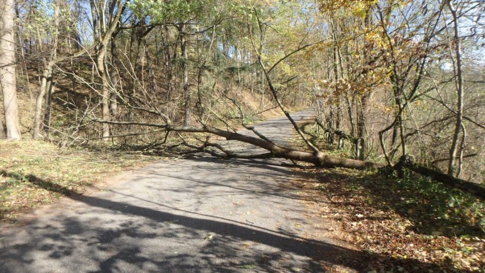 Odstraňování následků silného větru - Prorubky