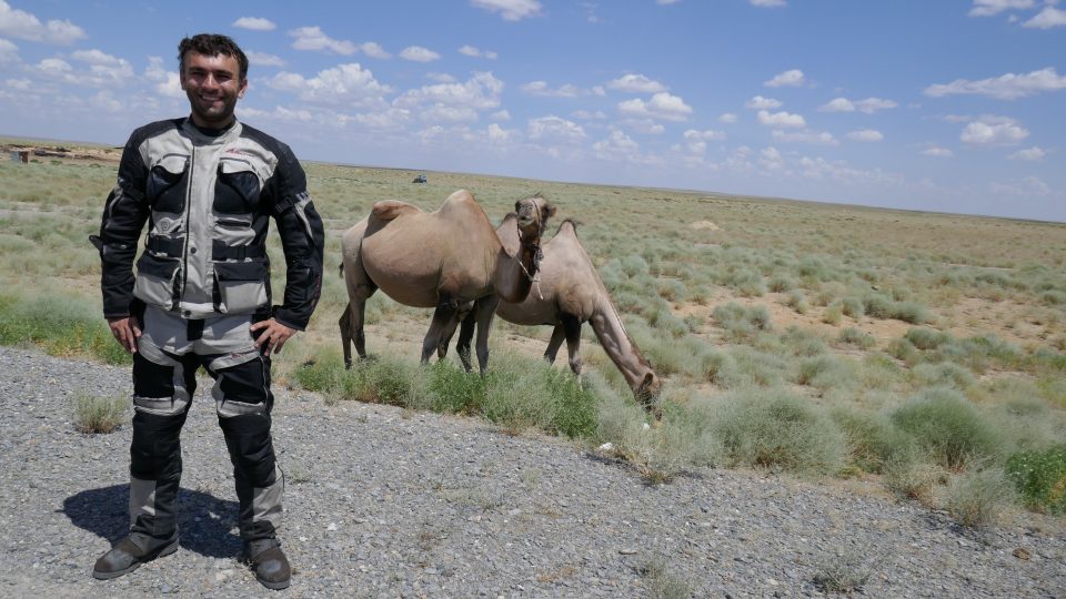 Kazachstán - velbloud u cesty