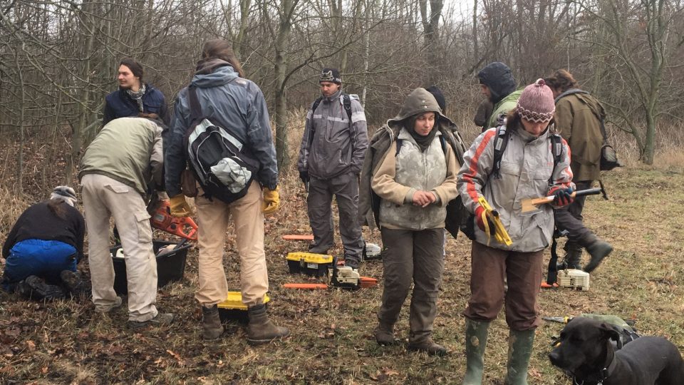 V přírodní rezervaci Zbytka nedaleko Českého Meziříčí začali ochranáři s čištěním lesa