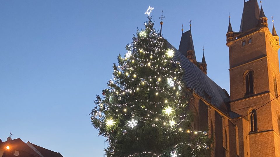 Patnáctimetrový vánoční strom už nádherně svítí na Velkém náměstí v Hradci Králové