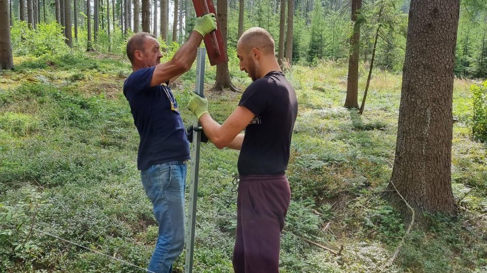 Při návštěvě lesa snad každý zaregistroval oplocená místa. Proč k této ochraně lesníci přistupují?