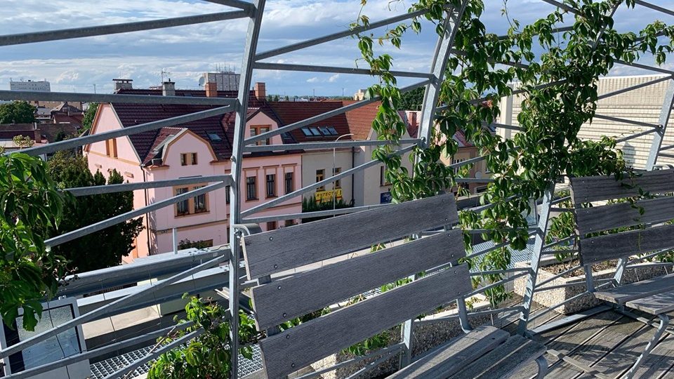 Tai-či si můžete zacvičit každé úterý na střeše Městské knihovny v Hradci Králové