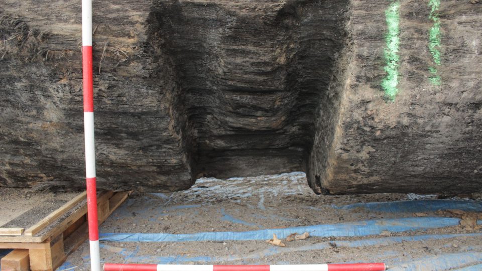 Královéhradečtí archeologové zkoumají dva částečně opracované kmeny, které stavbaři objevili na staveništi u hradecké fakultní nemocnice