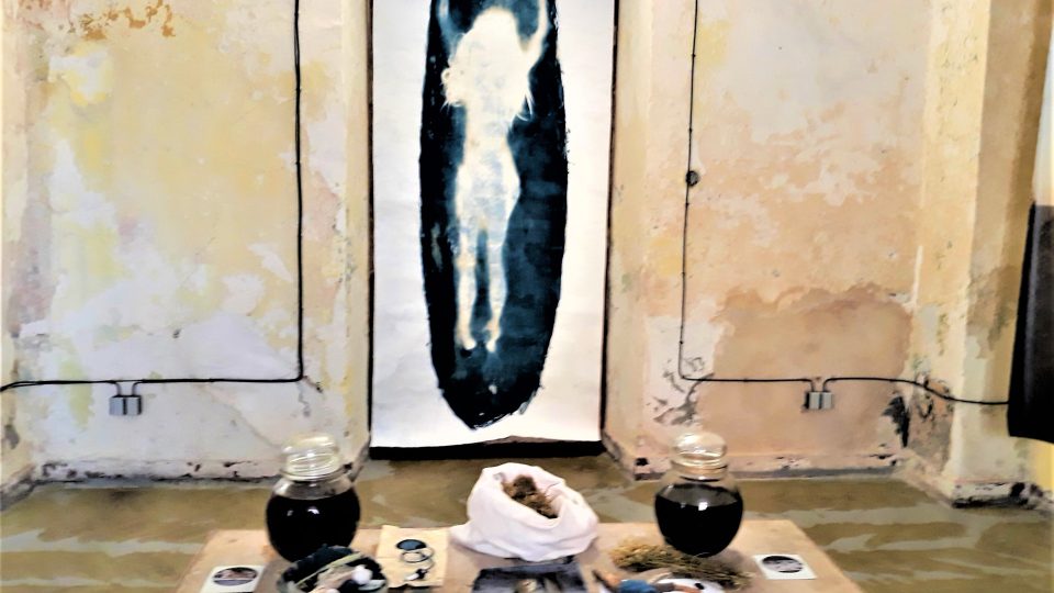 Kyanotypová kouzla v galerii SOL v jičínské jezuitské koleji