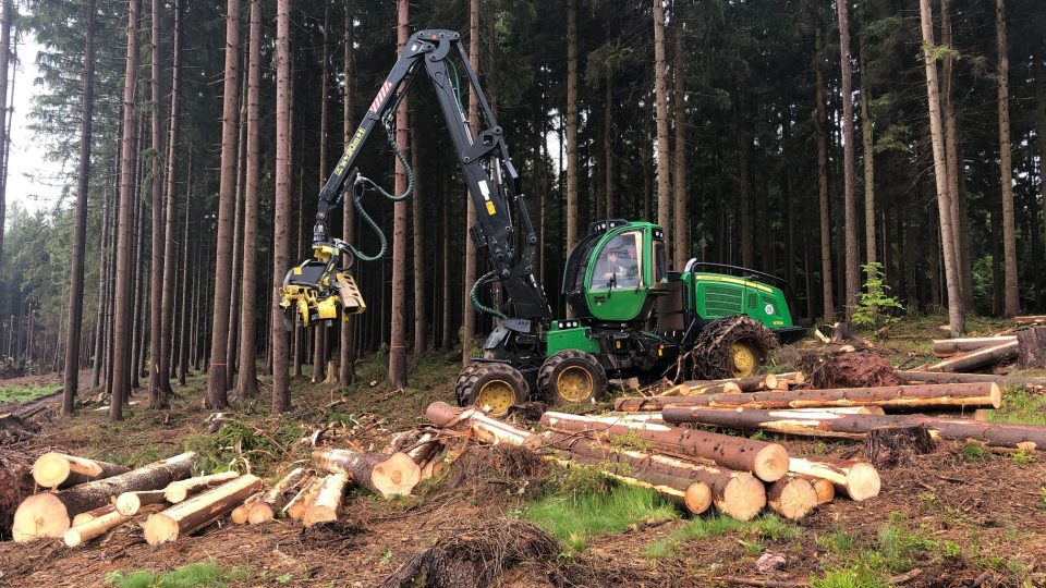 Studenti a pracovníci lesnické akademie v Trutnově bojují s kůrovcem
