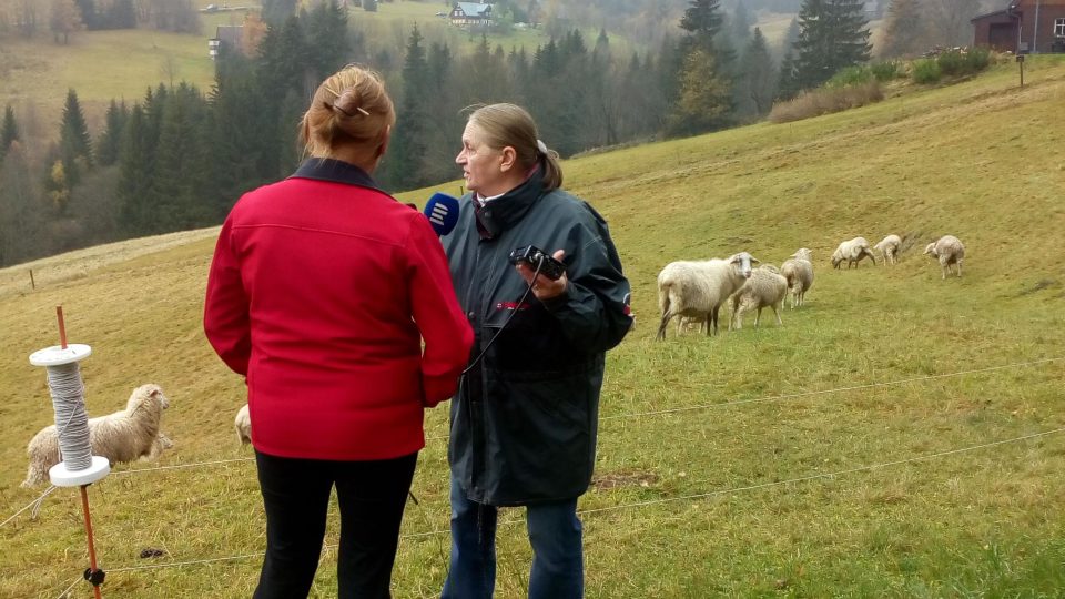 Na návštěvu se vydáme s redaktorkou Eliškou Pilařovou vysoko do hor za starým uměním vlnařským a zpracováním ovčí vlny