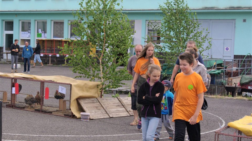 Mladí chovatelé provázejí návštěvníky i ve venkovních prostorách, kde vystavují zkušení chovatelé ze ZO ČSCH Jičín