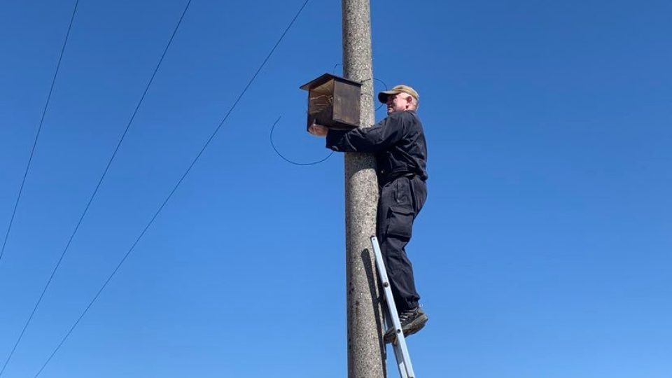 V Chráněné krajinné oblasti Broumovsko přibývají na sloupech elektrického napětí budky pro dravé ptáky