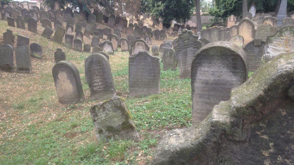 Židovský hřbitov v Novém Bydžově
