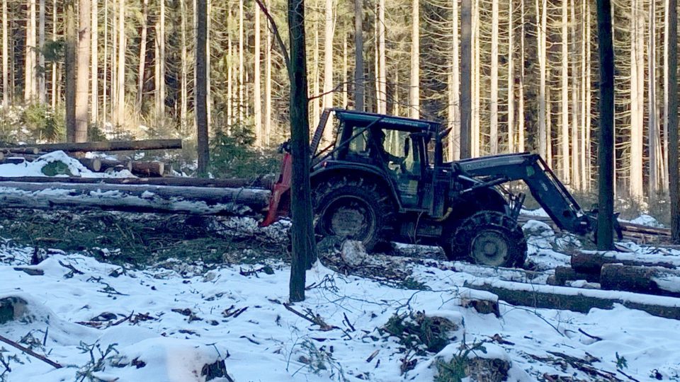 V zimě pokračuje nejen kácení kůrovcem napadeného dřeva, ale i vyhledávání problémových lokalit