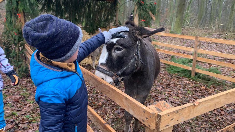 Živý betlém spojený s nadílkou pro zvířata nabídla návštěvníkům Farma Dubno