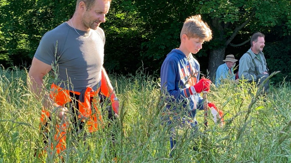 Na Náchodsku se sešli dobrovolníci, aby zachránili srnčata z vysoké trávy