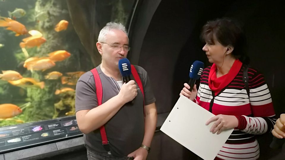 Přímý přenos z Obřího akvária v Hradci Králové