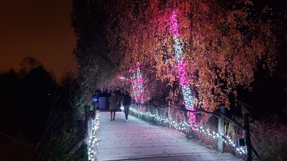 Unikátní atrakce na vás v pražské zoologické zahradě čeká během zimních měsíců | foto: Jolana Nováková, Český rozhlas Unikátní atrakce na vás v pražské zoologické zahradě čeká během zimních měsíců