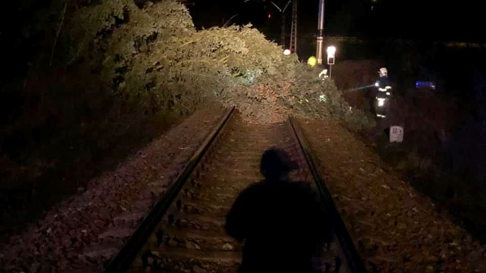 Spadlý strom v Týništi nad Orlicí