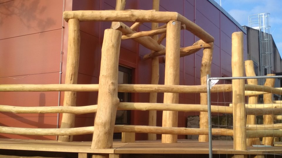 V Safari Parku Dvůr Králové finišuje stavba nového pavilonu žiraf