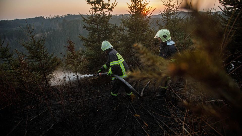 10 jednotek hasičů i policejní vrtulník likvidovalo na Náchodsku velký požár lesa