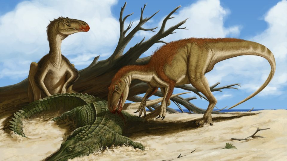 Rekonstrukce - moravský teropod - barevný