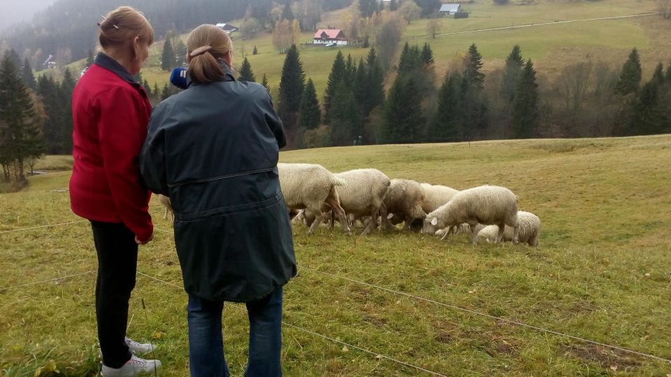 Na návštěvu se vydáme s redaktorkou Eliškou Pilařovou vysoko do hor za starým uměním vlnařským a zpracováním ovčí vlny