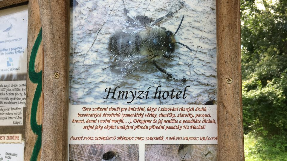 Hmyzí hotel v Hradci Králové v lokalitě Na Plachtě