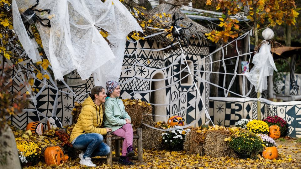 Týden duchů ve dvorském safari parku! Výpravy do světa afrických duchů a bájí i zajímavosti o zvířatech | foto: Helena Hubáčková, Safari Park Dvůr Králové Týden duchů ve dvorském safari parku! Výpravy do světa afrických duchů a bájí i zajímavosti o zvířatech