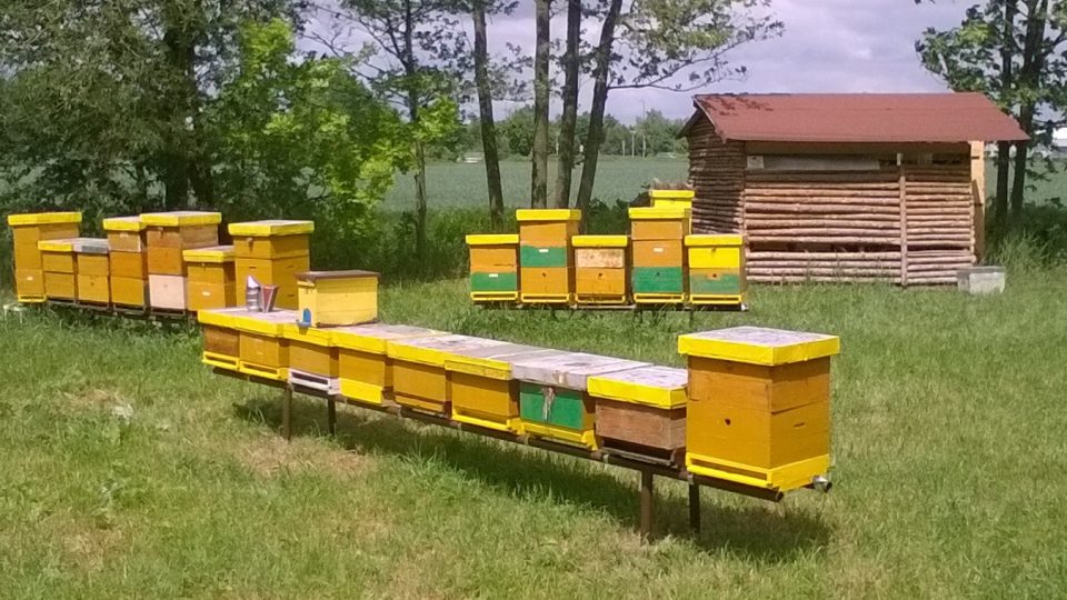 Včelí úly jsou součástí naučné včelí stezky v Trnové u Pardubic | foto: Evžen Báchor, Český rozhlas Včelí úly jsou součástí naučné včelí stezky v Trnové u Pardubic