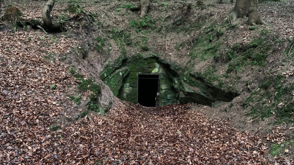 Na Broumovsku sčítají v podzemních štolách netopýry, kteří tam tráví zimu v hlubokém spánku