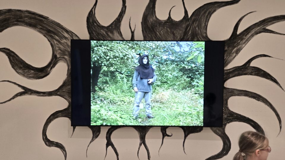 Na výstavě z tvorby Jana Wildy v GMU v Hradci Králové