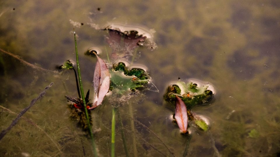 V Kurovickém lomu | foto: Martin Zelina V Kurovickém lomu
