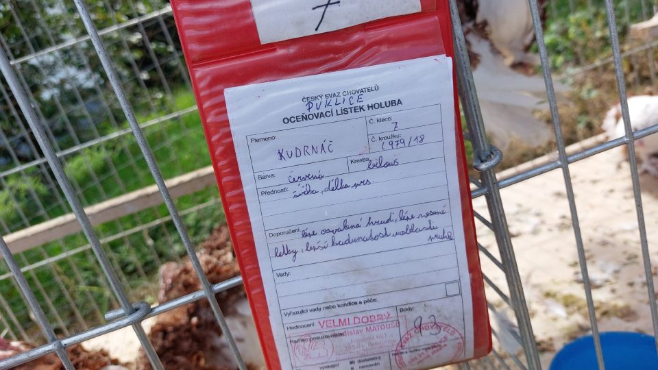 Oceňovací lístek na kleci s holuby Jiřího Kadlece | foto: Irena Šarounová, Český rozhlas Oceňovací lístek na kleci s holuby Jiřího Kadlece