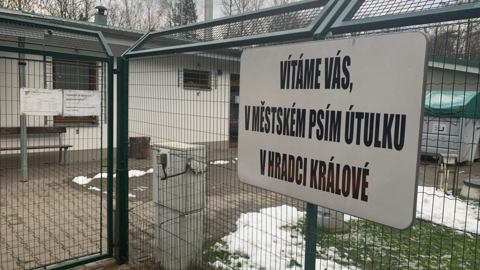 Městský útulek pro opuštěná zvířata v Hradci Králové řeší problém